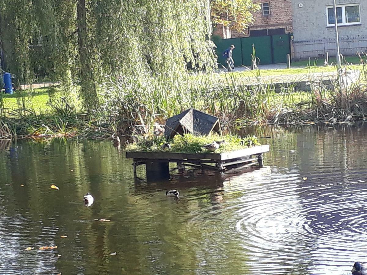 Mein Marienhof Bestensee Экстерьер фото